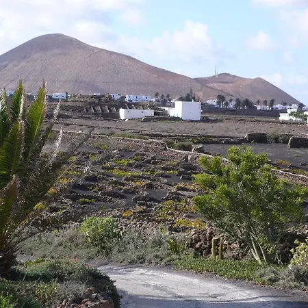 Bodega * Tinajo